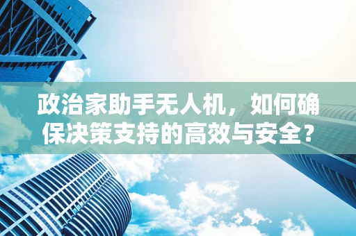 政治家助手无人机，如何确保决策支持的高效与安全？