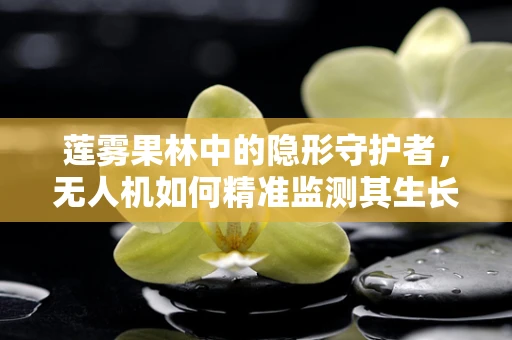 莲雾果林中的隐形守护者，无人机如何精准监测其生长状态？