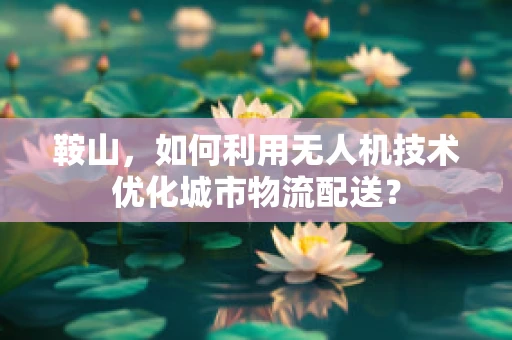 鞍山，如何利用无人机技术优化城市物流配送？