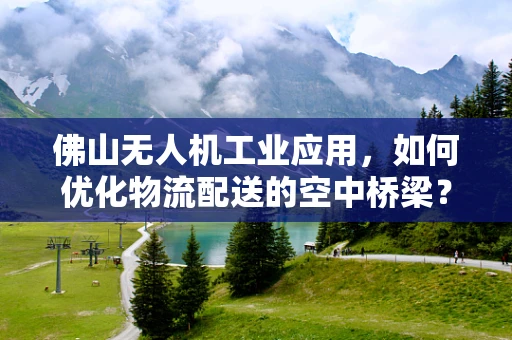佛山无人机工业应用，如何优化物流配送的空中桥梁？