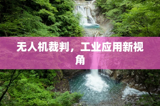 无人机裁判，工业应用新视角