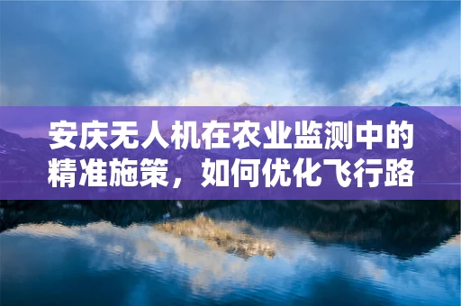 安庆无人机在农业监测中的精准施策，如何优化飞行路径以提升监测效率？