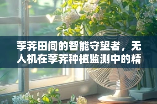荸荠田间的智能守望者，无人机在荸荠种植监测中的精准应用