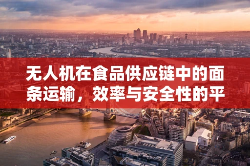 无人机在食品供应链中的面条运输，效率与安全性的平衡挑战