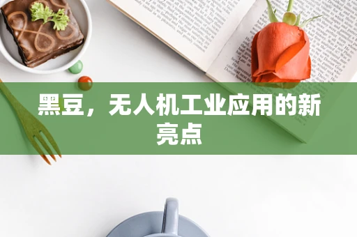 黑豆，无人机工业应用的新亮点