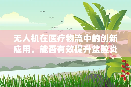 无人机在医疗物流中的创新应用，能否有效提升盆腔炎诊断的效率与精准度？