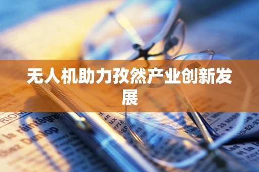 无人机助力孜然产业创新发展