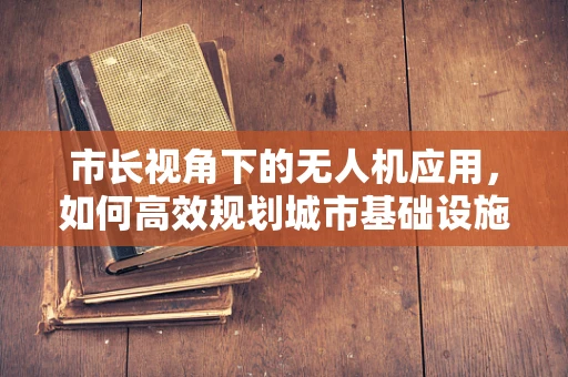 市长视角下的无人机应用，如何高效规划城市基础设施监测？