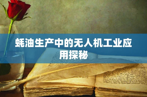 蚝油生产中的无人机工业应用探秘