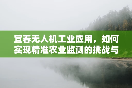 宜春无人机工业应用，如何实现精准农业监测的挑战与机遇？
