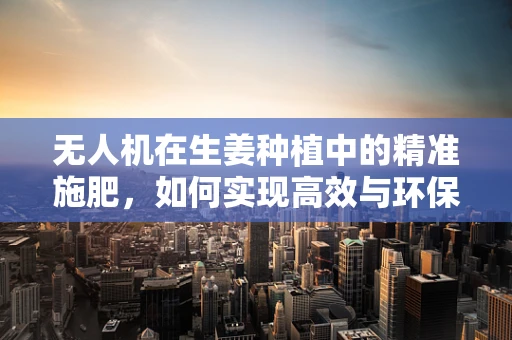 无人机在生姜种植中的精准施肥，如何实现高效与环保的平衡？