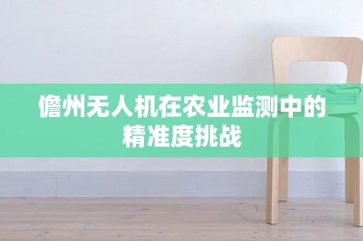 儋州无人机在农业监测中的精准度挑战