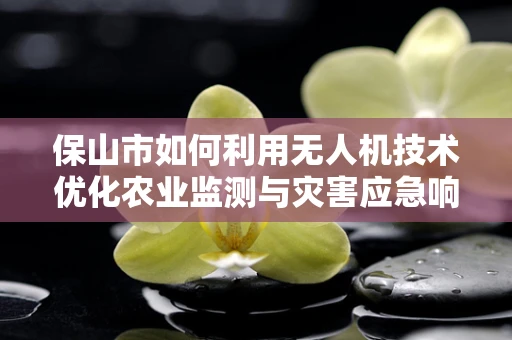 保山市如何利用无人机技术优化农业监测与灾害应急响应？