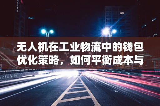 无人机在工业物流中的钱包优化策略，如何平衡成本与效率？