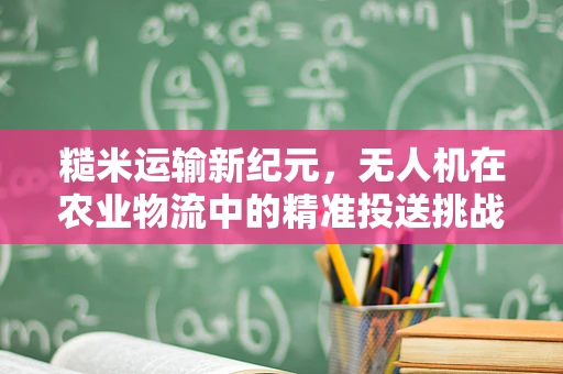 糙米运输新纪元，无人机在农业物流中的精准投送挑战