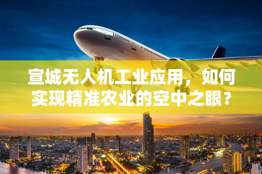 宣城无人机工业应用，如何实现精准农业的空中之眼？