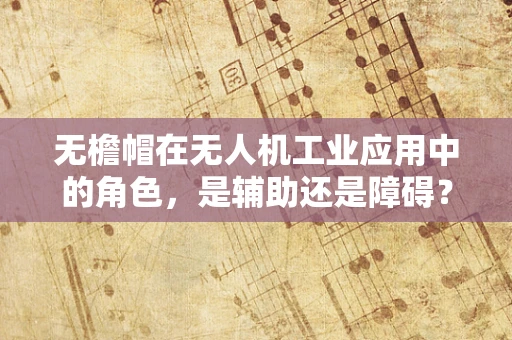无檐帽在无人机工业应用中的角色，是辅助还是障碍？