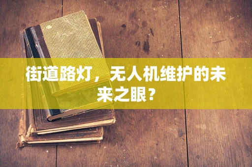 街道路灯，无人机维护的未来之眼？