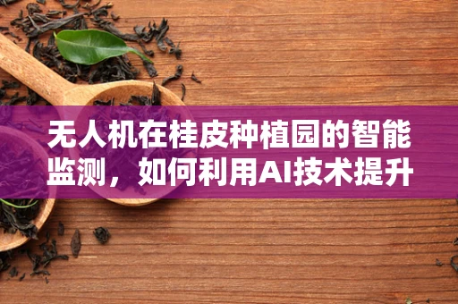 无人机在桂皮种植园的智能监测，如何利用AI技术提升桂皮质量检测的准确性？
