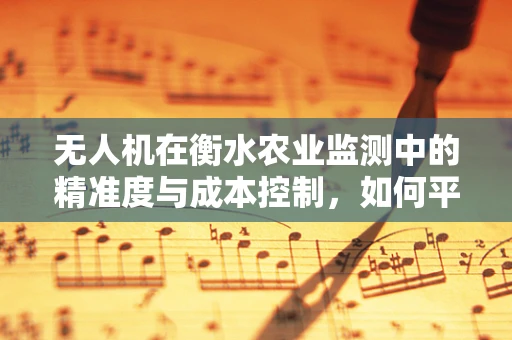 无人机在衡水农业监测中的精准度与成本控制，如何平衡？