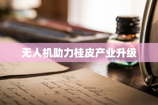 无人机助力桂皮产业升级