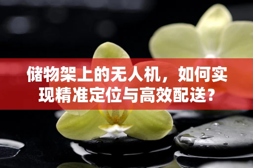 储物架上的无人机，如何实现精准定位与高效配送？