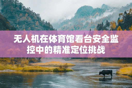 无人机在体育馆看台安全监控中的精准定位挑战