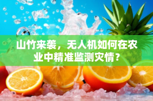 山竹来袭，无人机如何在农业中精准监测灾情？