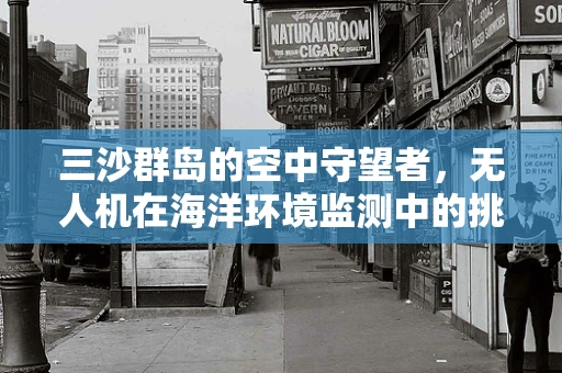 三沙群岛的空中守望者，无人机在海洋环境监测中的挑战与机遇？