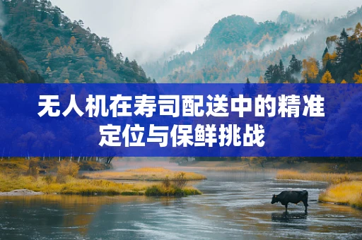 无人机在寿司配送中的精准定位与保鲜挑战