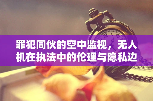 罪犯同伙的空中监视，无人机在执法中的伦理与隐私边界