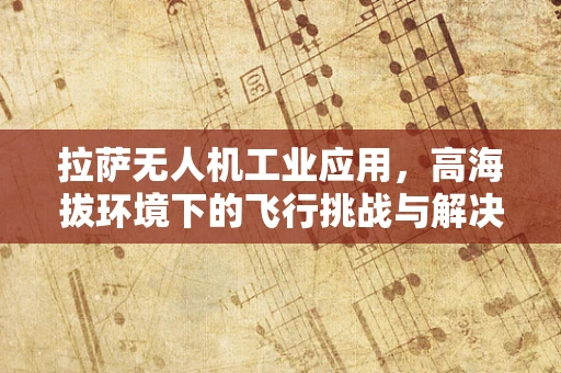 拉萨无人机工业应用，高海拔环境下的飞行挑战与解决方案