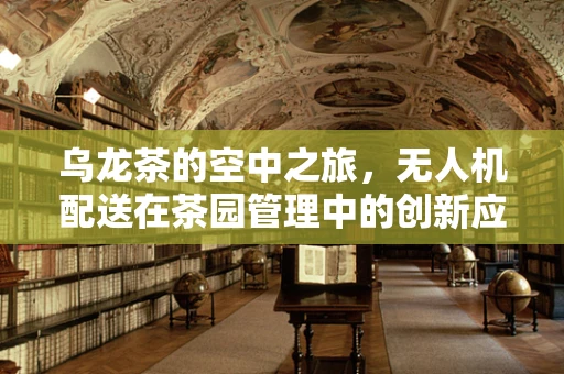 乌龙茶的空中之旅，无人机配送在茶园管理中的创新应用？