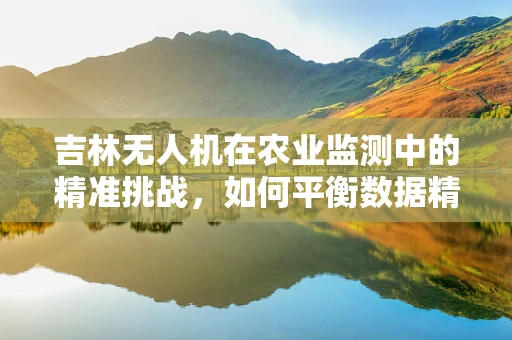吉林无人机在农业监测中的精准挑战，如何平衡数据精度与成本效益？