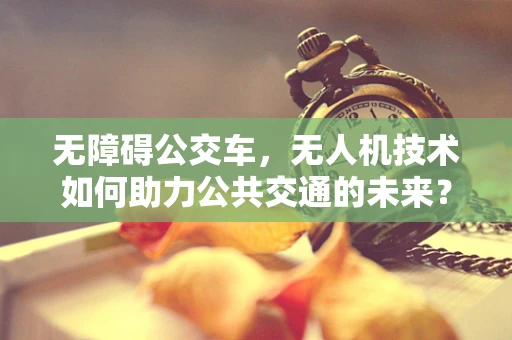 无障碍公交车，无人机技术如何助力公共交通的未来？