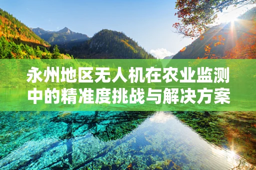 永州地区无人机在农业监测中的精准度挑战与解决方案