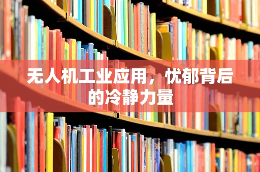 无人机工业应用，忧郁背后的冷静力量