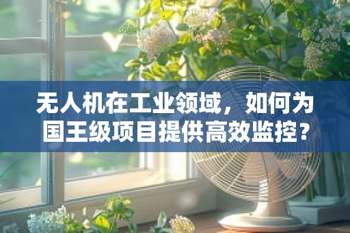 无人机在工业领域，如何为国王级项目提供高效监控？