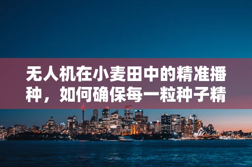无人机在小麦田中的精准播种，如何确保每一粒种子精准落地？