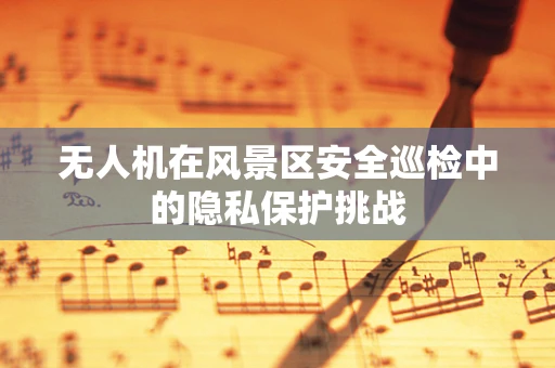 无人机在风景区安全巡检中的隐私保护挑战
