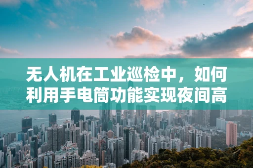 无人机在工业巡检中，如何利用手电筒功能实现夜间高效作业？