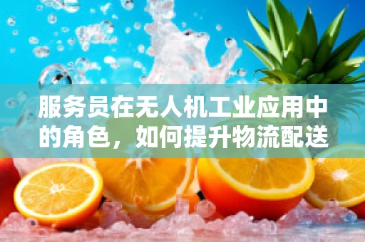 服务员在无人机工业应用中的角色，如何提升物流配送的效率与安全性？