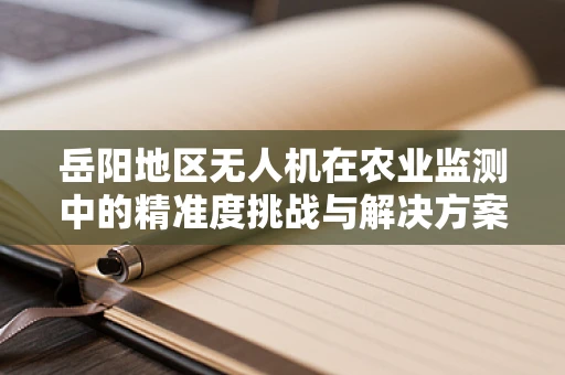 岳阳地区无人机在农业监测中的精准度挑战与解决方案
