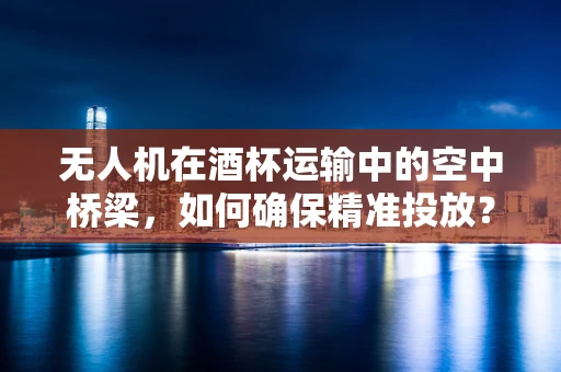 无人机在酒杯运输中的空中桥梁，如何确保精准投放？