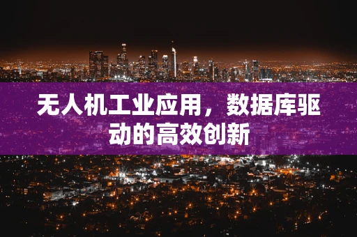 无人机工业应用，数据库驱动的高效创新