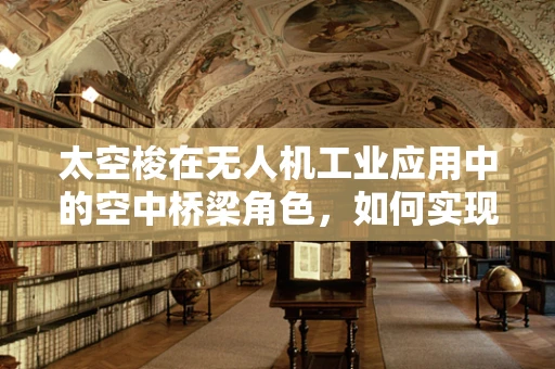 太空梭在无人机工业应用中的空中桥梁角色，如何实现高效物流与数据传输？