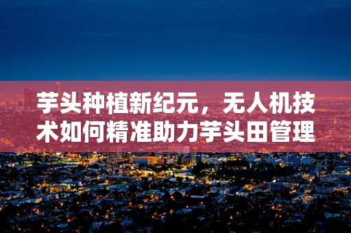 芋头种植新纪元，无人机技术如何精准助力芋头田管理？