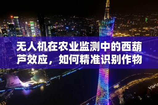 无人机在农业监测中的西葫芦效应，如何精准识别作物健康？