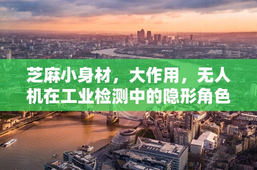 芝麻小身材，大作用，无人机在工业检测中的隐形角色？