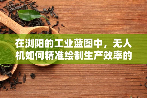 在浏阳的工业蓝图中，无人机如何精准绘制生产效率的飞跃？